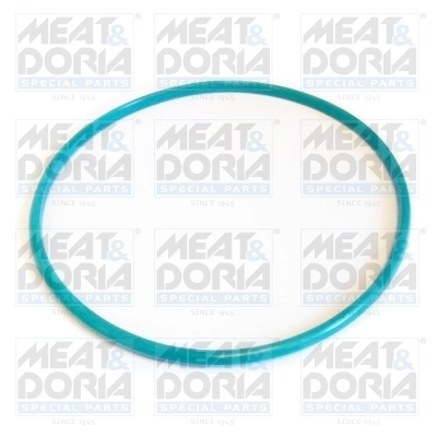 Seal, fuel tank cap